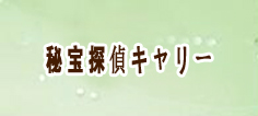 秘宝探偵キャリー RMT 通貨購入