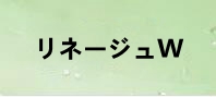 リネージュW（リネW） 通貨購入