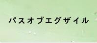 パスオブエグザイル 通貨購入